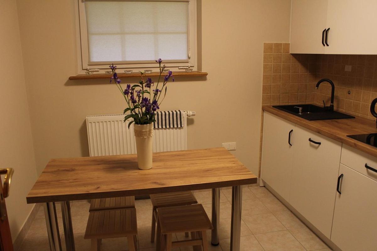 Apartamenty Nad Potokiem ザコパネ エクステリア 写真